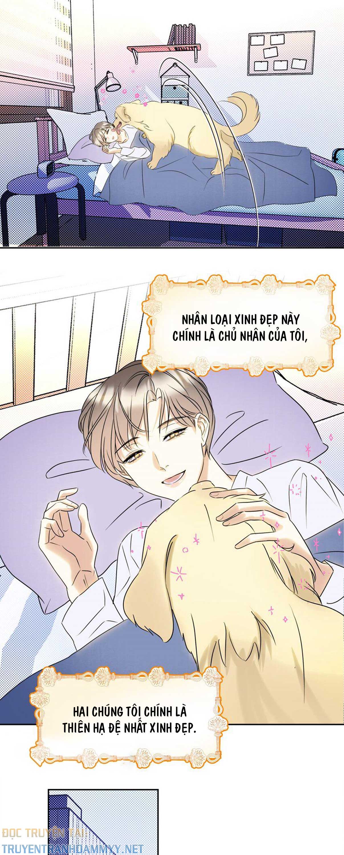 anh-trai-hoi-cua-toi-chap-23-2